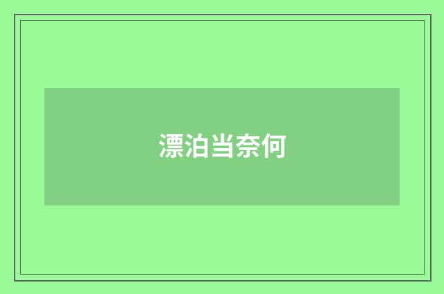 漂泊当奈何