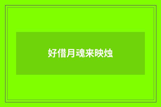 好借月魂来映烛
