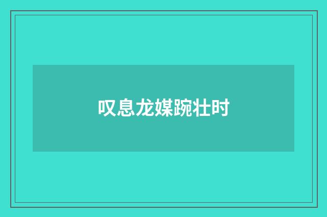 叹息龙媒踠壮时