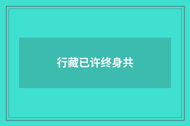 行藏已许终身共