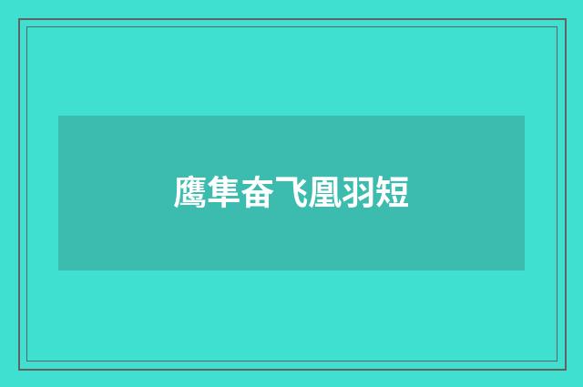 鹰隼奋飞凰羽短