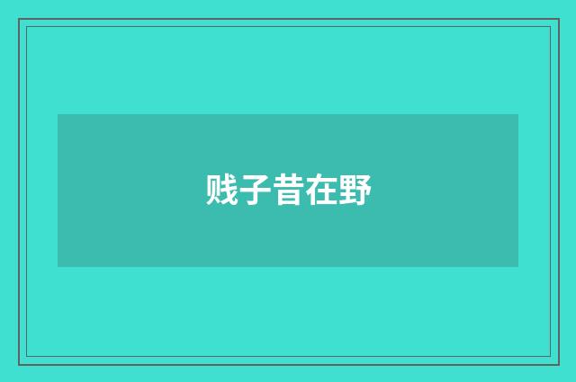 贱子昔在野