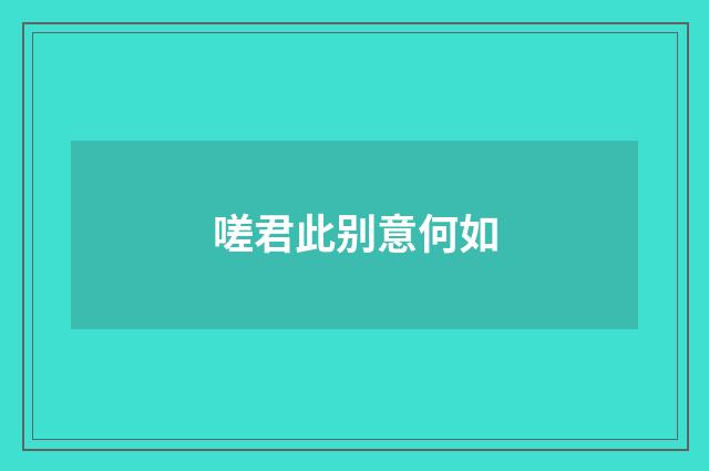 嗟君此别意何如