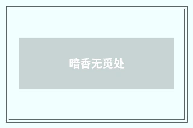 暗香无觅处