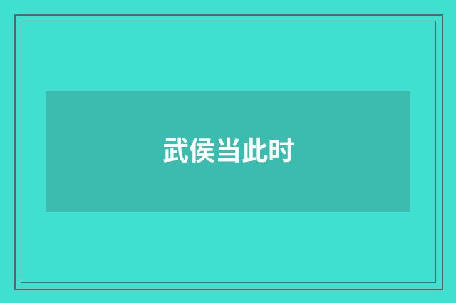 武侯当此时