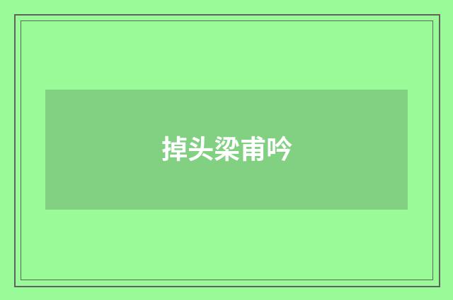 掉头梁甫吟
