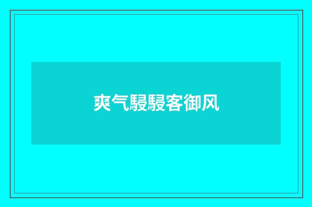 爽气駸駸客御风