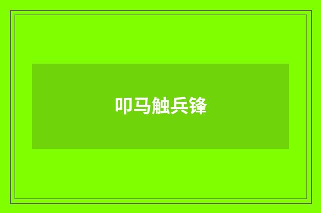 叩马触兵锋