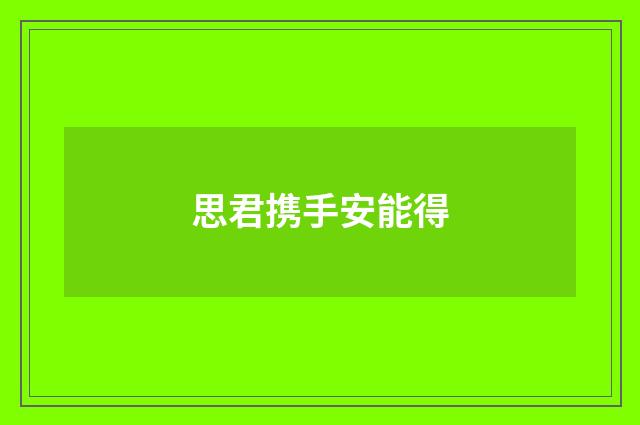 思君携手安能得