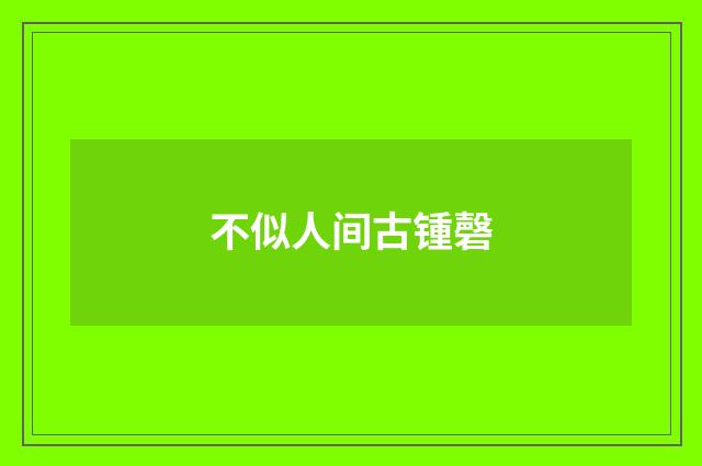 不似人间古锺磬
