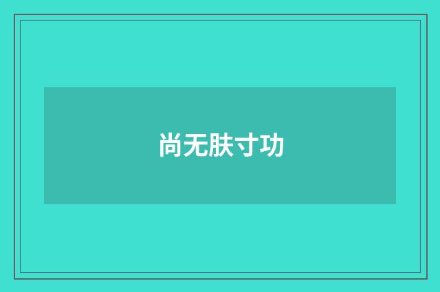 尚无肤寸功
