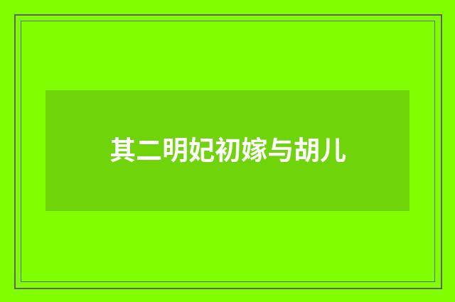 其二明妃初嫁与胡儿