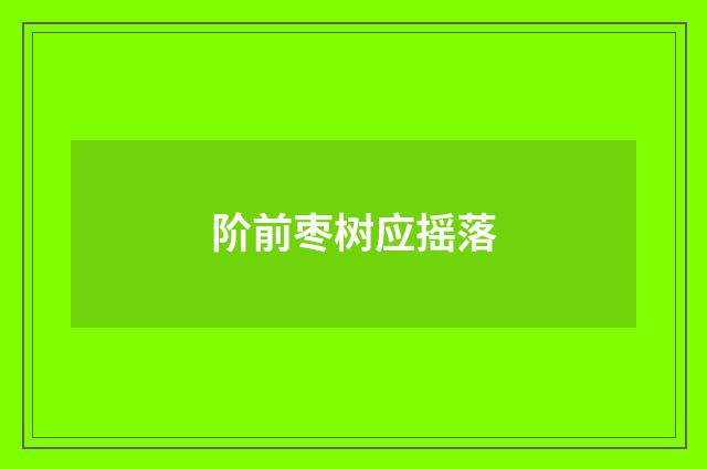阶前枣树应摇落