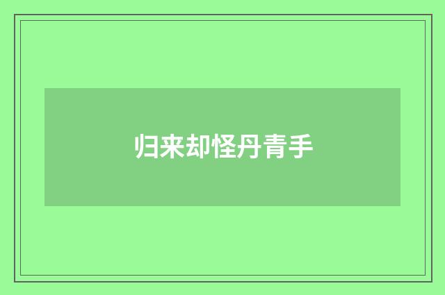 归来却怪丹青手