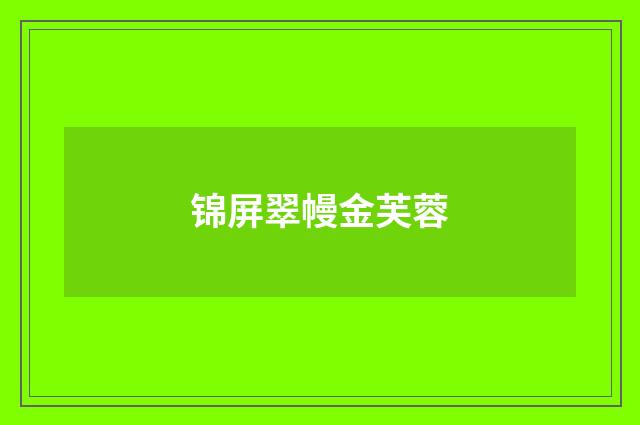 锦屏翠幔金芙蓉