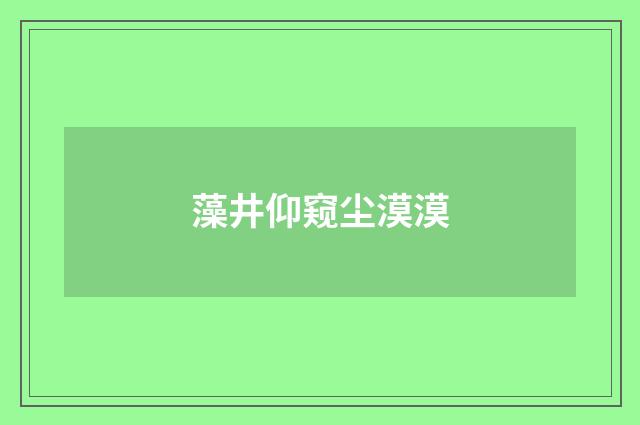 藻井仰窥尘漠漠