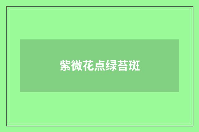 紫微花点绿苔斑