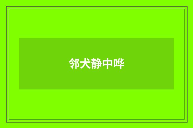 邻犬静中哗