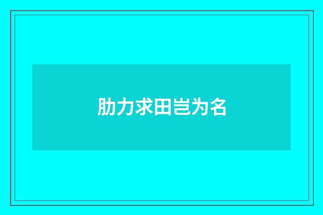 肋力求田岂为名