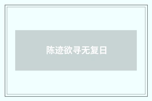 陈迹欲寻无复日