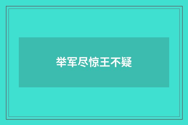 举军尽惊王不疑