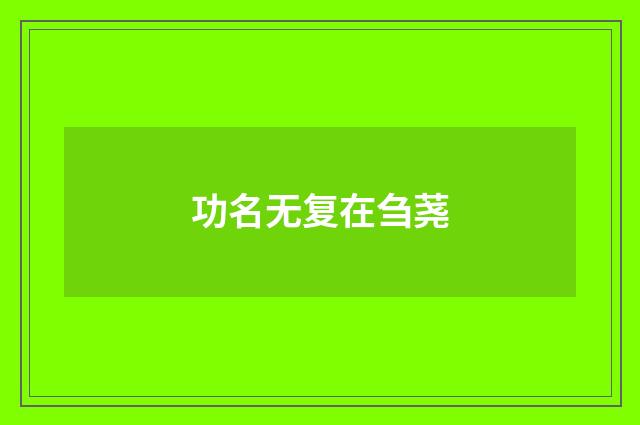 功名无复在刍荛