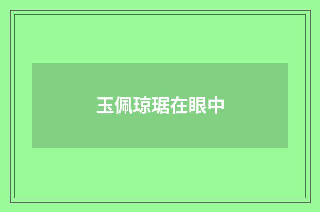 玉佩琼琚在眼中