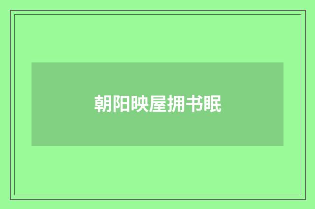 朝阳映屋拥书眠