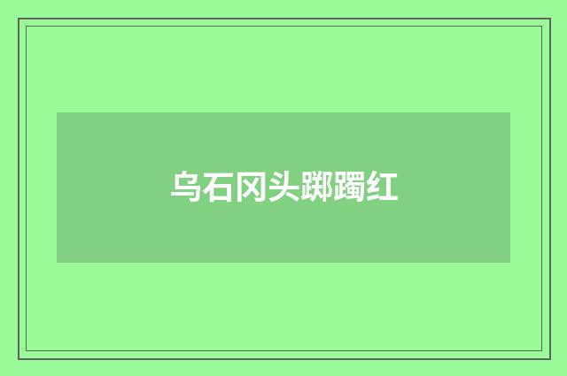 乌石冈头踯躅红