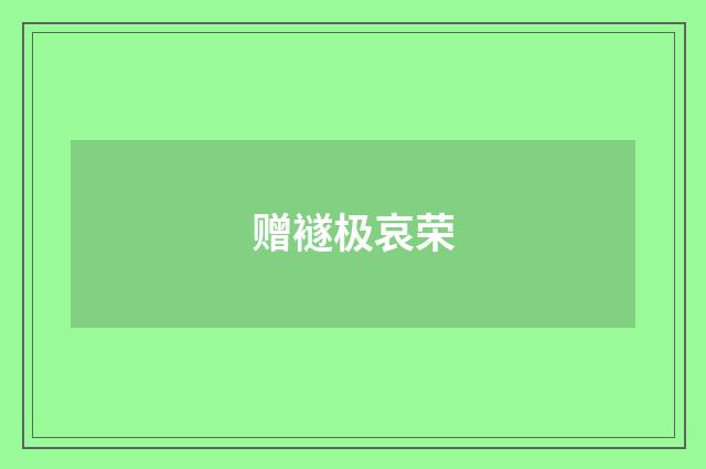 赠襚极哀荣