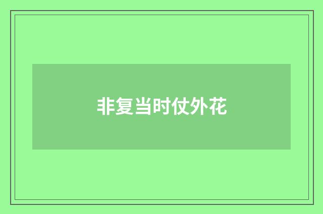 非复当时仗外花