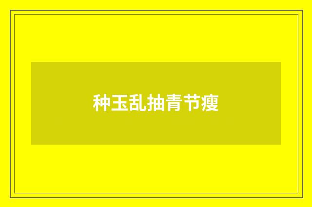 种玉乱抽青节瘦