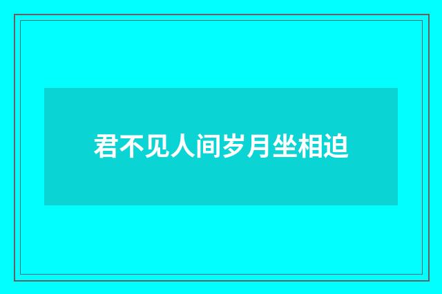君不见人间岁月坐相迫