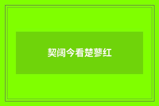 契阔今看楚蓼红
