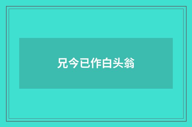 兄今已作白头翁