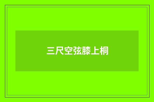 三尺空弦膝上桐