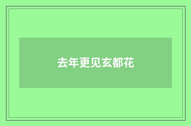 去年更见玄都花