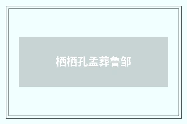 栖栖孔孟葬鲁邹