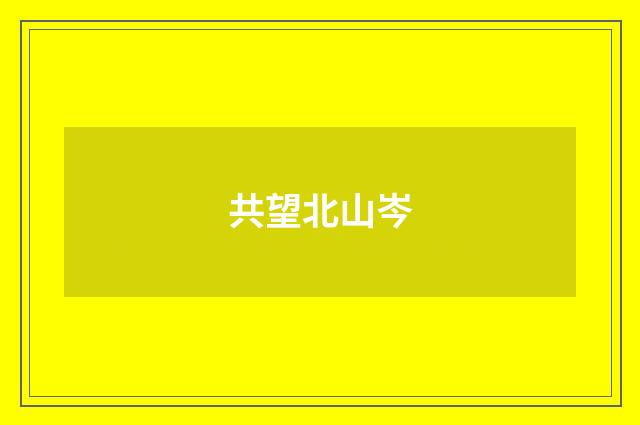 共望北山岑