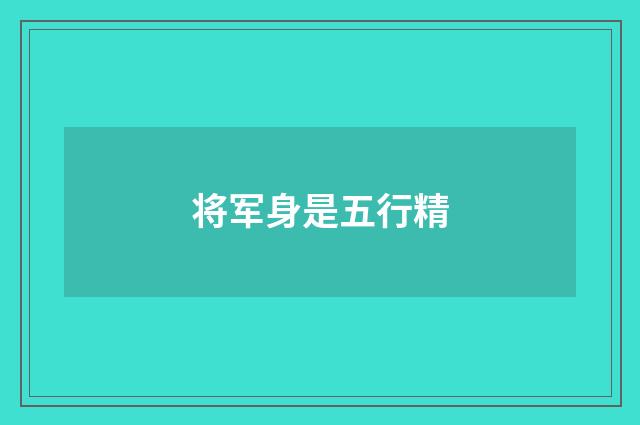 将军身是五行精