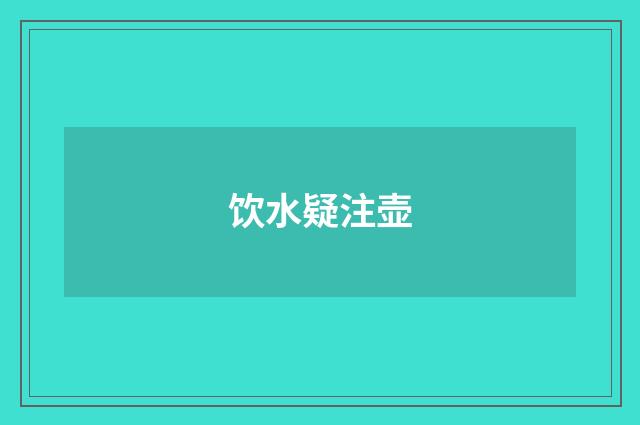 饮水疑注壶