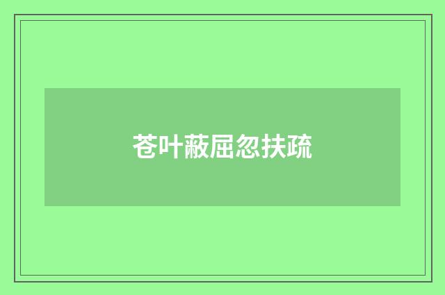 苍叶蔽屈忽扶疏