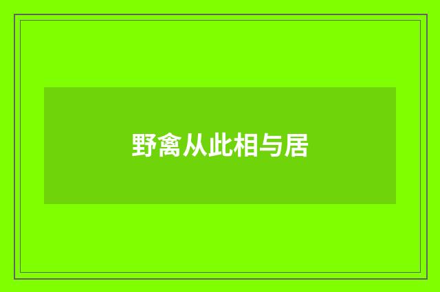 野禽从此相与居