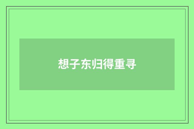 想子东归得重寻