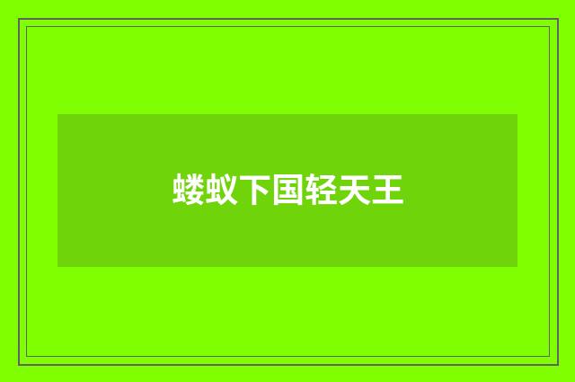 蝼蚁下国轻天王