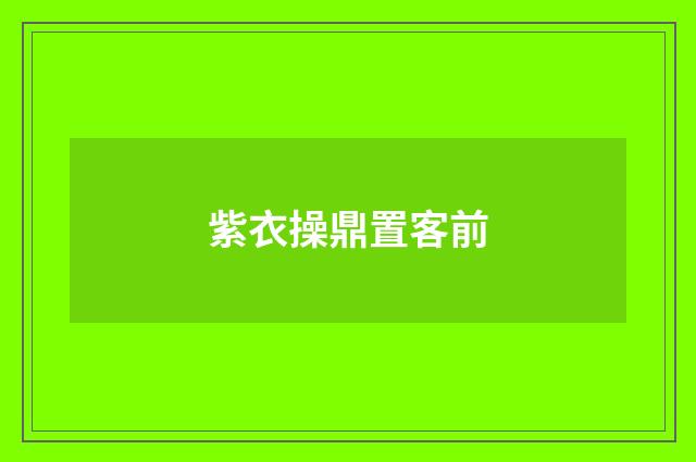 紫衣操鼎置客前