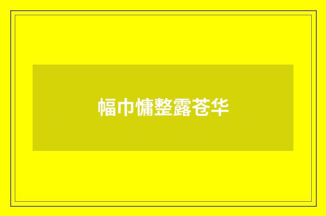 幅巾慵整露苍华