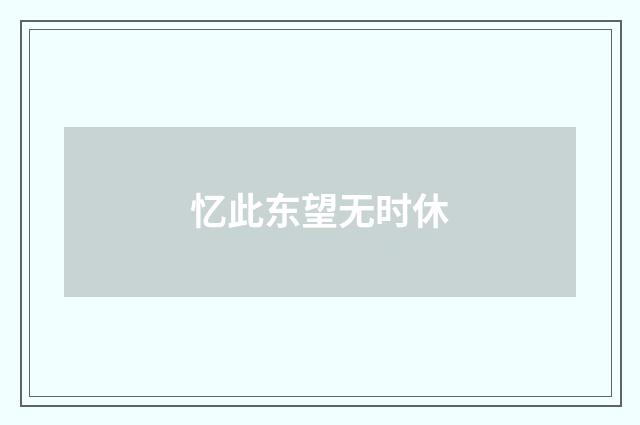 忆此东望无时休
