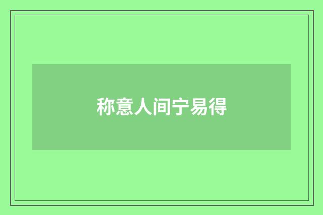 称意人间宁易得