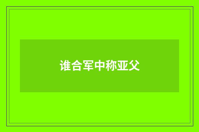 谁合军中称亚父